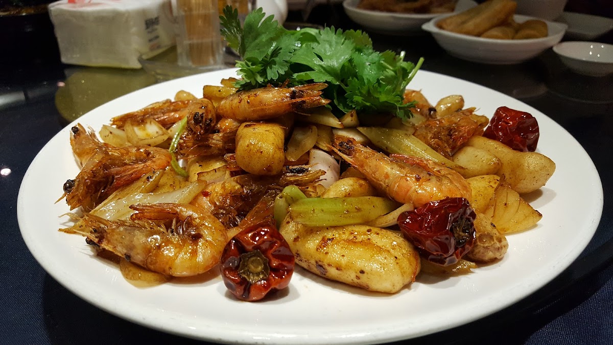 Jianguo 328, Shanghai