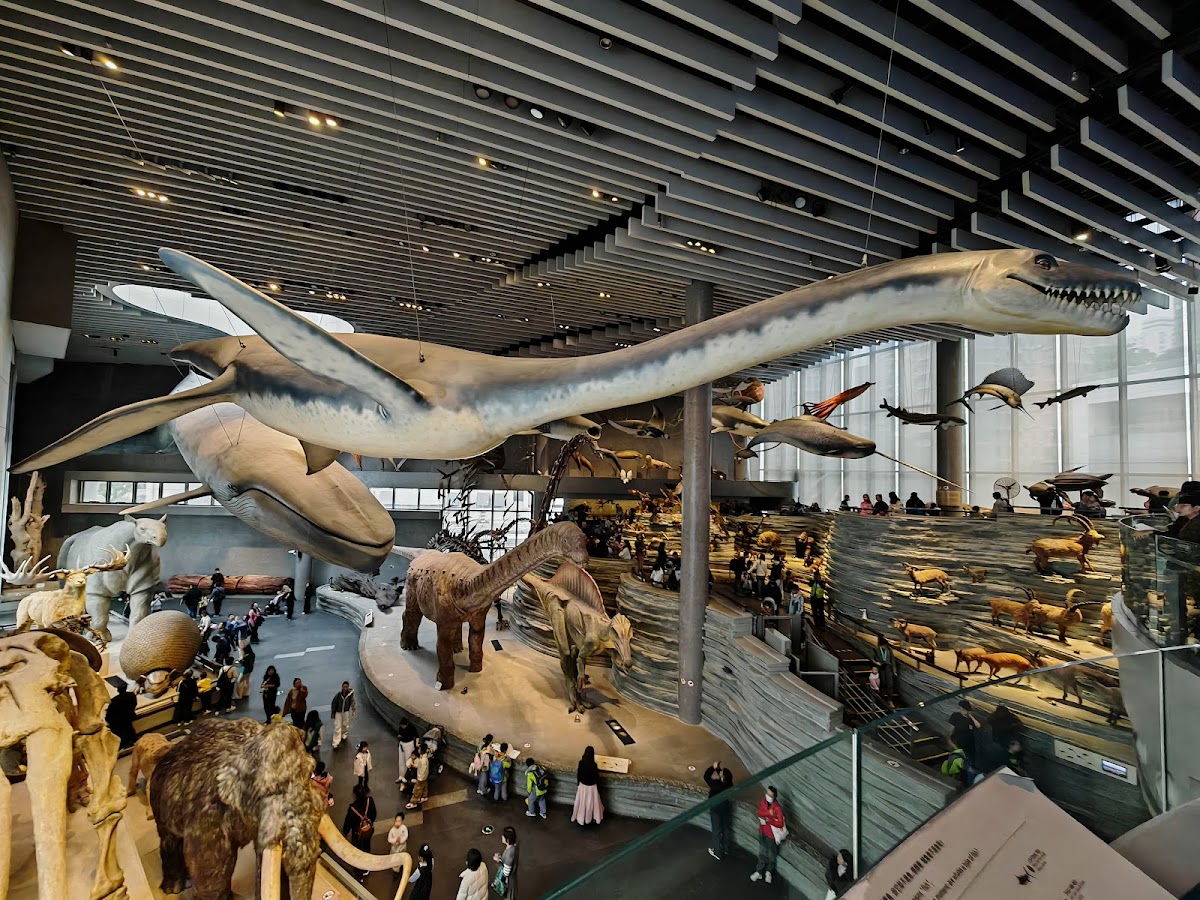 Shanghai Natural History Museum — photo 2